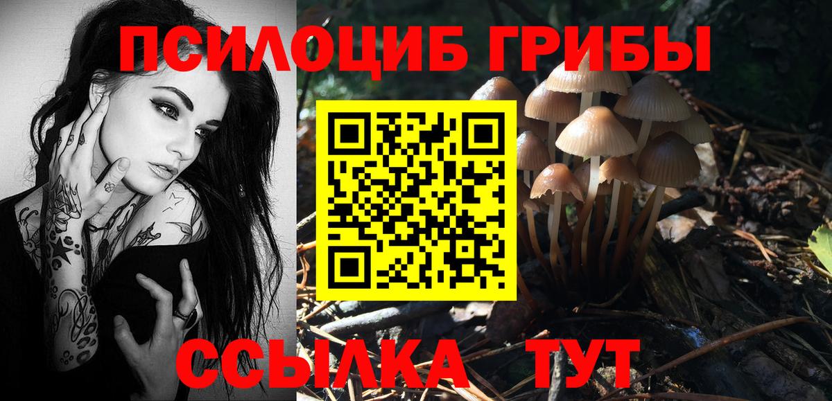 Псилоцибиновые грибы Psilocybine cubensis Самара