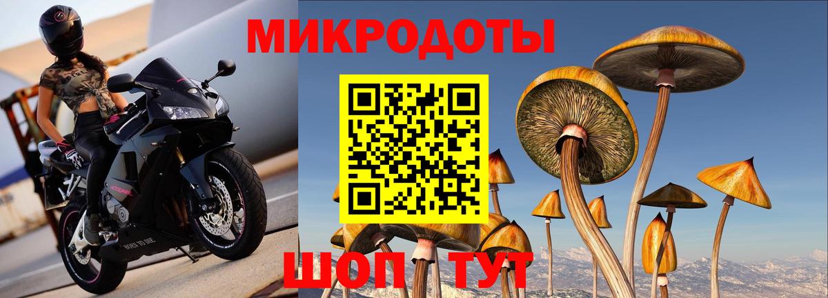 Самара  Псилоцибиновые грибы мицелий  Вход с VPN  Псилоцибиновые грибы прущие грибы 